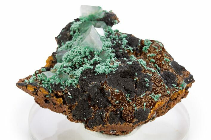 Fibrous Malachite and Rhombohedral Calcite on Limonite - Mexico #330580